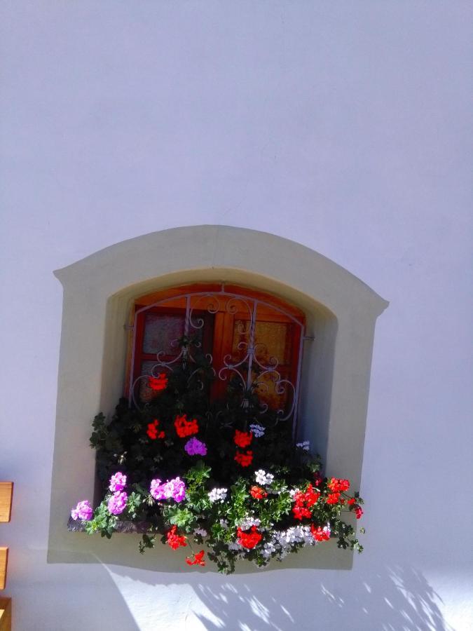 Achillea Bed&Breakfast Vigo di Fassa Extérieur photo